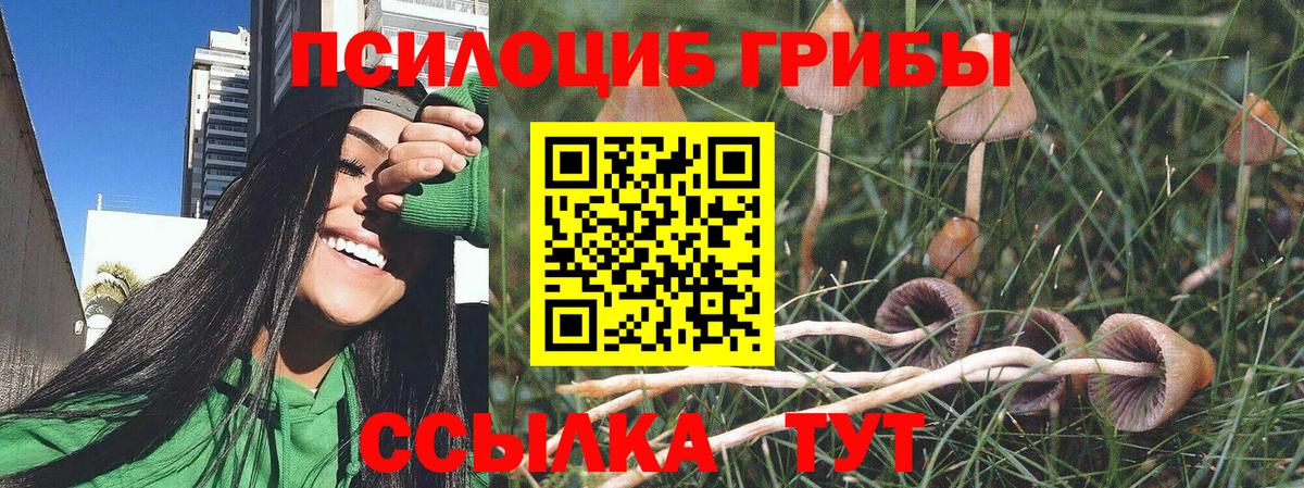 Псилоцибиновые грибы прущие грибы Звенигород