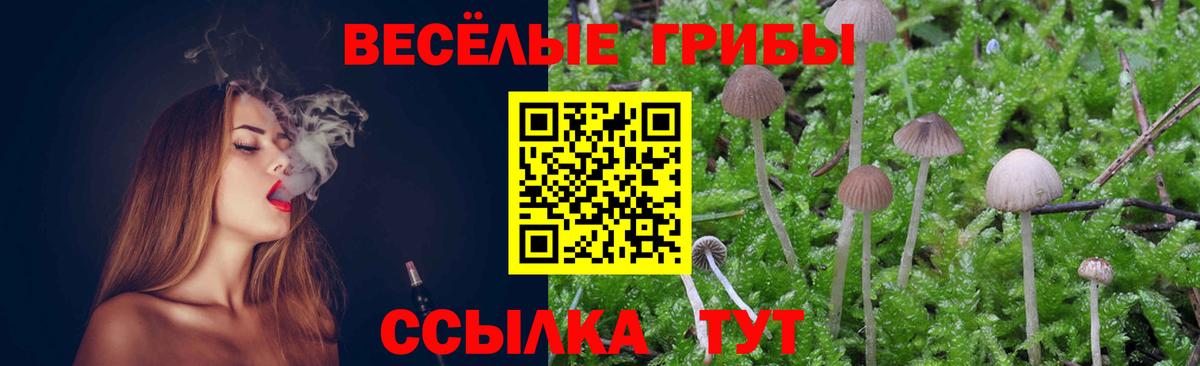 Галлюциногенные грибы Cubensis  Вход с VPN  Звенигород 